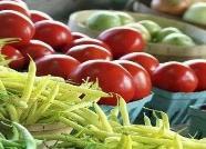 德州食用林产品质量监测首批合格率100% 助力食用农产品安全再升级